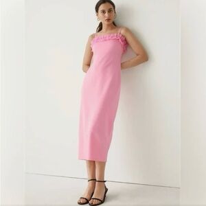 NWT & Other Stories Organza Ruffle Dress